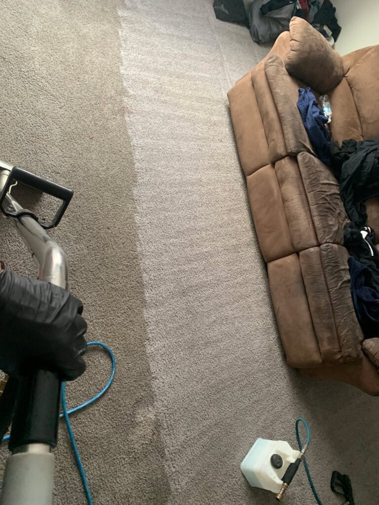 Carpet Cleaning Company Harvey