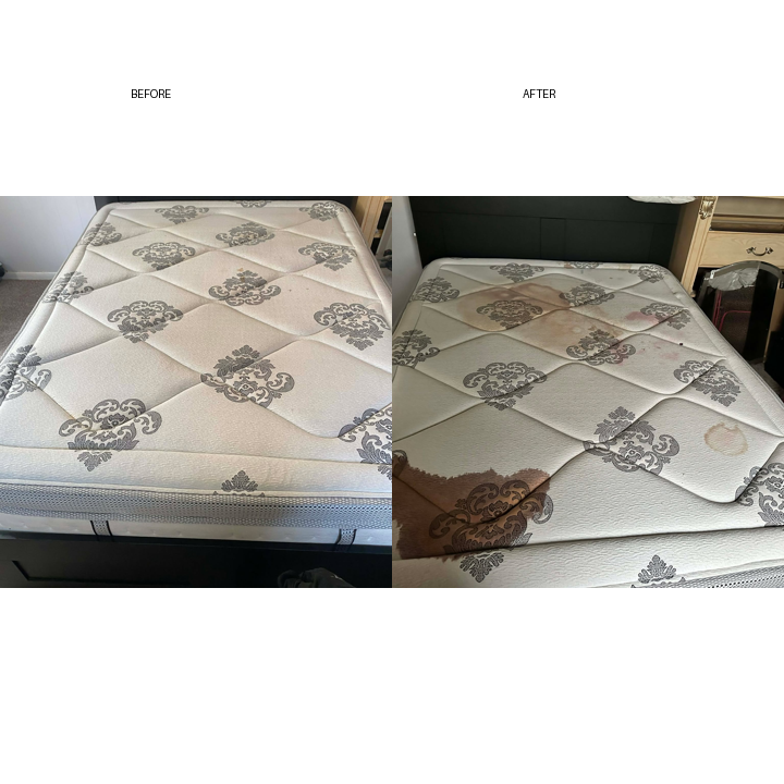 Mattress Upholstery Cleaning