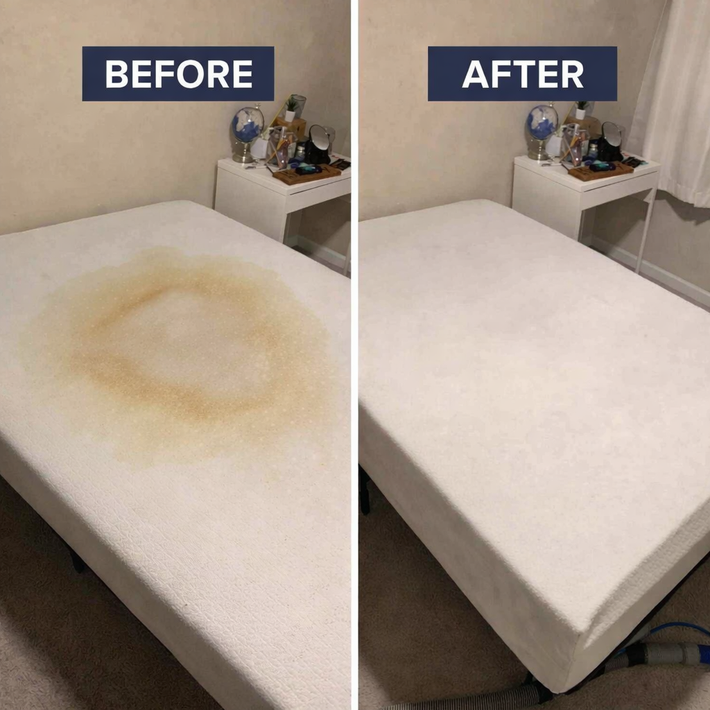 Pet Stain & Odor Removal