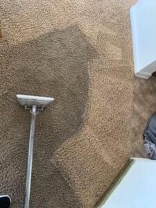 carpet cleaning harvey la